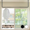 mm単位で選べる アイアンバー サイズオーダー 耐荷重30kg 【U＆L字型】 納期20営業日程度 物干し 白 黒 天吊りハンガ…