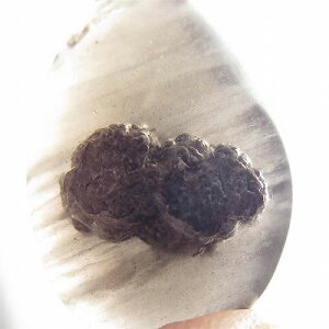 쌧acY@NXgoCgIuVfBA j [X 5.6g