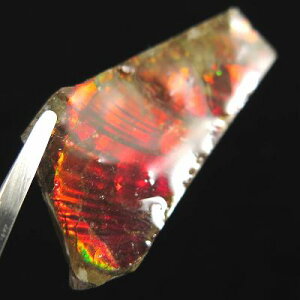 ACg AiCg΁@XCX@΁@5.3g