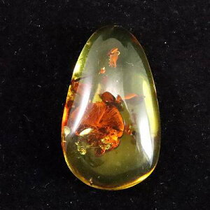 VR߁@oeBbNAo[ 28mm J{V [X 2.3g