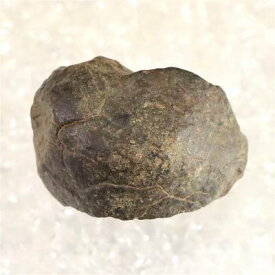 モロッコ産 コンドライト隕石 NWA石質隕石 2010年　20.90g