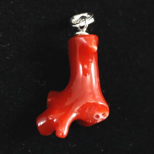 {ÓY VR ΎX ԃTS y_ggbv@1.70g