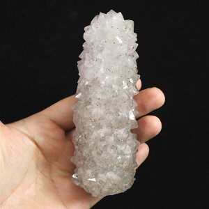 ChY X^N^Cg AWXg T{eAWXg 295g 