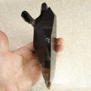 čA[J\[BY@ I@|Cg ѓ R[hEL[p[ o[iN Ztq[h ؖt 418g