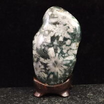 楽天市場】菊花 石 根尾谷の通販