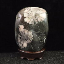 楽天市場】菊花 石 根尾谷の通販