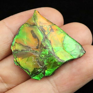 ACg AiCg΁@XCX@΁@3.0g