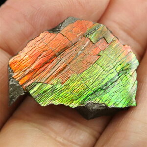 ACg AiCg΁@XCX@΁@2.7g