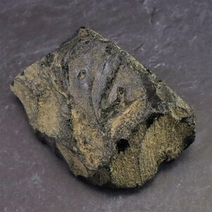 B̓ j  fBNg[J[ht 80.5g