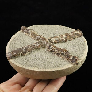 kCΎsY Oh CJ 100mm  510g *󏭐*