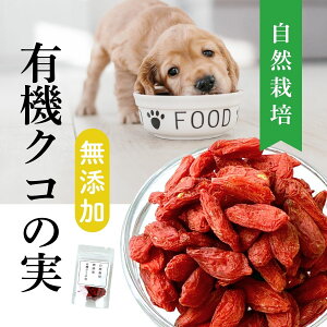 L@ Y  L NR̎ 20g  gbsOɐԂ p Lp ̎VN  100g  L NR̎ ͂ ӂ肩 N gbsO   L@ Y R_