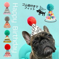 バースデーポンポンハット 犬 猫 誕生日 帽子 ペットグッズ POMPOMHAT THE BESS ポンポン ハット ケーキ …