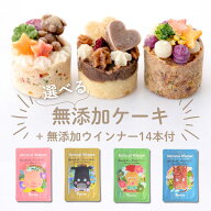 犬 ケーキ 無添加 誕生日 記念日 ケーキ バースデー ミニケーキ 犬 ソーセージ ウインナー famfam 無添加…