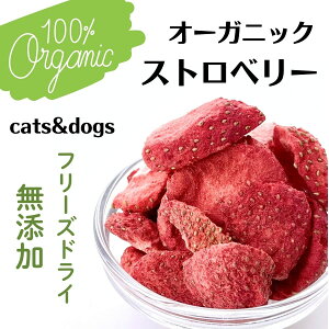  L  gbsO AD.DOG Xgx[  ybg I[KjbN t[c ʎ t[YhC Y N TNTN t[h t_ 7g ̎RhHiXGml