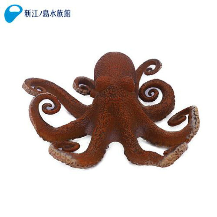 楽天市場 コレクタ オクトパス Collecta タコ たこ フィギュア 置物 コレクション 雑貨 グッズ おもちゃ 海の生き物 動物 インテリア リアル 新江ノ島水族館 えのすい 人気 おすすめ おみやげ 新江ノ島水族館オンラインショップ