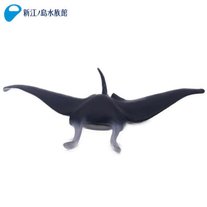 楽天市場 コレクタ オニイトマキエイ Collecta 魚 マンタ フィギュア 置物 コレクション 雑貨 グッズ おもちゃ 海の生き物 動物 インテリア リアル 新江ノ島水族館 えのすい 人気 おすすめ おみやげ 新江ノ島水族館オンラインショップ
