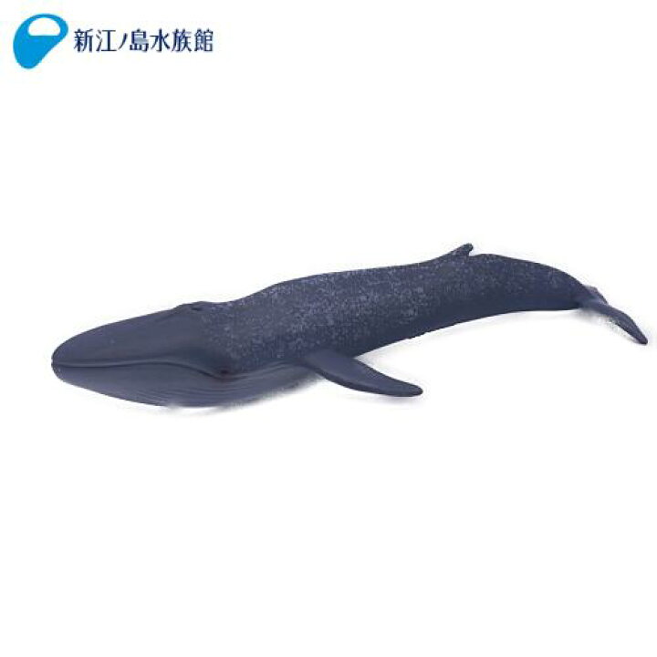 クジラ3種　フィギュア