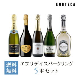 ワイン ワインセット エブリデイスパークリング5本セット UP6-1 [750ml x 5] 送料無料