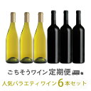 Bコース　人気バラエティワイン6本セット【初回8月25日お届け】