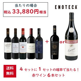 【送料無料】エノテカ 4セットに1セットの確率で当たる！赤ワイン 6本セット RG9-1、RG9-2 [750ml×6] ワイン ワインセット ワインくじ ワインガチャ 飲み比べ