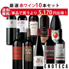 エノテカ ワイン専門店のイチオシ！エノテカ厳選赤ワイン10本セット PA9-1 [750ml x 10] ワイン ワインセット 飲み比べ 送料無料