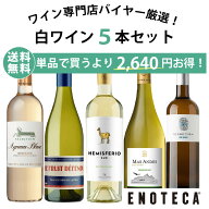 【送料無料】ワイン ワインセット エノテカ直輸入 バイヤー厳選白ワイン好きのための辛口白ワイン5本セッ…