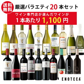 【送料無料】ワイン専門店のイチオシ！厳選バラエティー20本セット（10本×2箱） RT9-1、RT9-2 [750ml x 20] ワイン ワインセット 飲み比べセット エノテカ 大容量