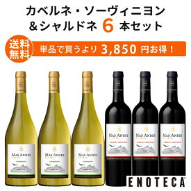 【送料無料】ワイン ワインセット マス・アンデス赤白6本まとめ買い MA12-1 [750ml x 6] バロン・フィリップ・ド・ロスチャイルド・マイポ・チリ【AM9時迄最短当日出荷】