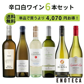 【送料無料】エノテカ ワインセット 辛口白ワイン6本セット WG9-2 [750ml x 6] ワイン 飲み比べ