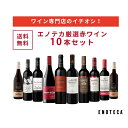 エノテカ ワイン専門店のイチオシ！エノテカ厳選赤ワイン10本セット PA7-1 [750ml x 10] ワイン ワインセット 飲み比…