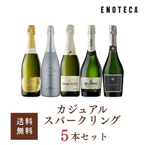 yzGmeJ \GI hXp[NO5{Zbg RU11-1 [750ml x 5] C CZbg ݔ 