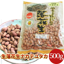 2023年度産 新豆 未調理なま落花生(ナカテユタカ)二等500g千葉県八街産落花生