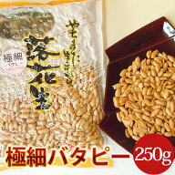 【極細バタピー250g】★お一人様5個まで千葉県八街産落花生【週間落花生ランキング1位商品】