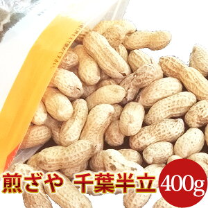 2024NxY yEt400gztXYԐyTԗԐLO1ʏiz