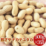 【煎ざや・ナカテユタカ500g×3袋】 千葉県八街産落花生1.5k【週間落花生ランキング1位25回商品】