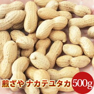 【煎ざや・ナカテユタカ500g】千葉県八街産落花生【週間落花生ランキング1位商品】