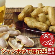 2026年産 新豆《冷凍ゆで落花生》【ジャンボおおまさり380g×3】【送料・クール代込み】千葉県八街産落花生