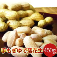 《冷凍ゆで落花生》【ナカテユタカ450g】千葉県八街産落花生クール冷凍便発送