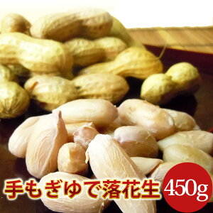 2025NxY V ŗԐ(iJe^J) 450gtXYԐN[Ⓚ֔