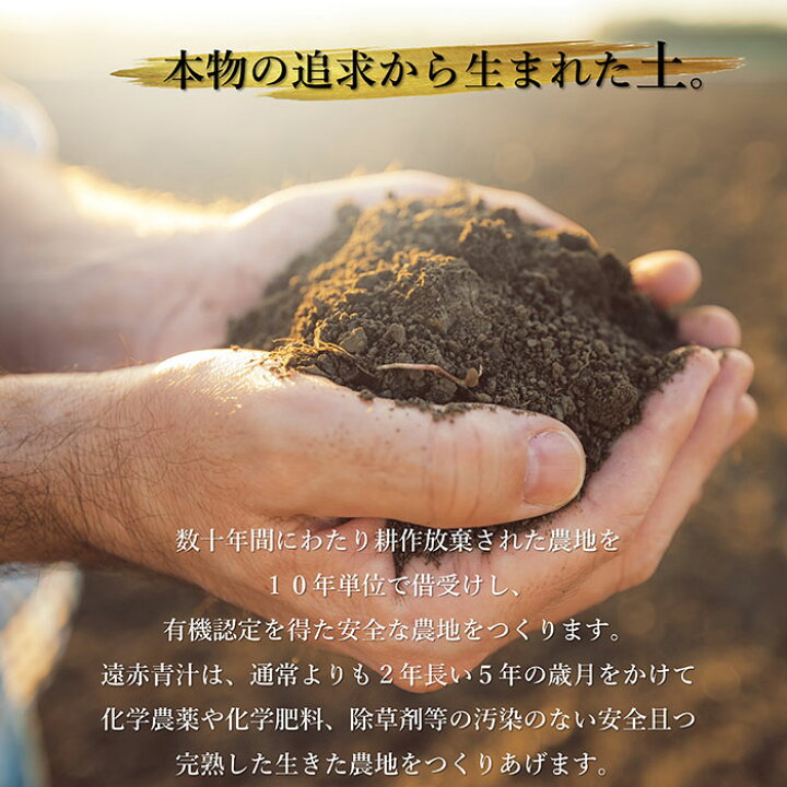 楽天市場】【期間限定20%ポイントバック】遠赤青汁V1 1250粒詰替[送料 