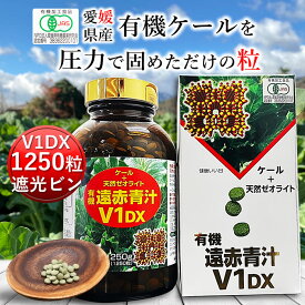 遠赤青汁V1DX 1250粒 ビン[送料無料 有機 国産 子供 青汁粒 粒 タブレット ケール オーガニック 酵素 無添加 無農薬 無糖 コレステロール 野菜 食物繊維 野菜不足 ビタミン ミネラル 鉄 葉酸 アミノ酸 ギャバ GABA ]