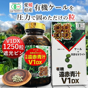 Ԑ`V1DX 1250 r[ L@ Y q `  ^ubg P[ I[KjbN yf Y _  RXe[  H@ ؕs r^~ ~l S t_ A