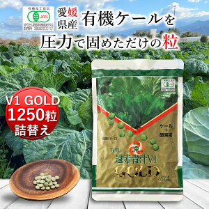 Ԑ`V1GOLD 1250l[ L@ Y ` q `  ^ubg P[ I[KjbN yf Y _ RXe[  H@ ؕs r^~ ~l S t_ A