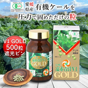 Ԑ`V1GOLD 500r[ L@ Y q `  ^ubg P[ I[KjbN yf Y _ RXe[  H@ ؕs r^~ ~l S t_ A~m_
