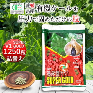 Ԑ`V1SUPER GOLD 1250 l[ L@ Y ` q `  ^ubg P[ yf Y _ RXe[  H@ ؕs r^~ ~l S t_ A~m_ M