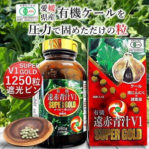 Ԑ`V1SUPER GOLD 1250 r [ L@ Y ` q `  ^ubg P[ yf Y _ RXe[  H@ ؕs r^~ ~l S t_ A~m_ 
