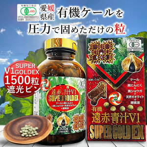 Ԑ`V1 SUPER GOLD EX 1500 r[ L@ Y ` q `  ^ubg P[ yf Y _ RXe[  H@ ؕs r^~ ~l S t_ A~m_
