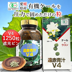 Ԑ`V4 1250 r[ L@ Y ` q `  ^ubg P[ I[KjbN yf Y _  RXe[  H@ ؕs r^~ ~l S t_ 