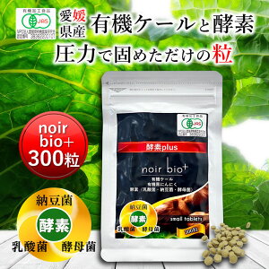 Ԑ` noir bio+ 300 [ L@ Y q `  ^ubg P[ I[KjbN yf Y _ RXe[  H@ ؕs r^~ ~l S t_ A~m_ 