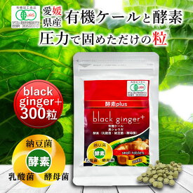 遠赤青汁 black ginger+ 300粒 [送料無料 有機 国産 子供 青汁粒 粒 タブレット ケール オーガニック 酵素 無添加 無農薬 コレステロール 野菜 食物繊維 野菜不足 ビタミン ミネラル 鉄 葉酸 アミノ酸 ギャバ GABA ]
